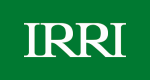 IRRI